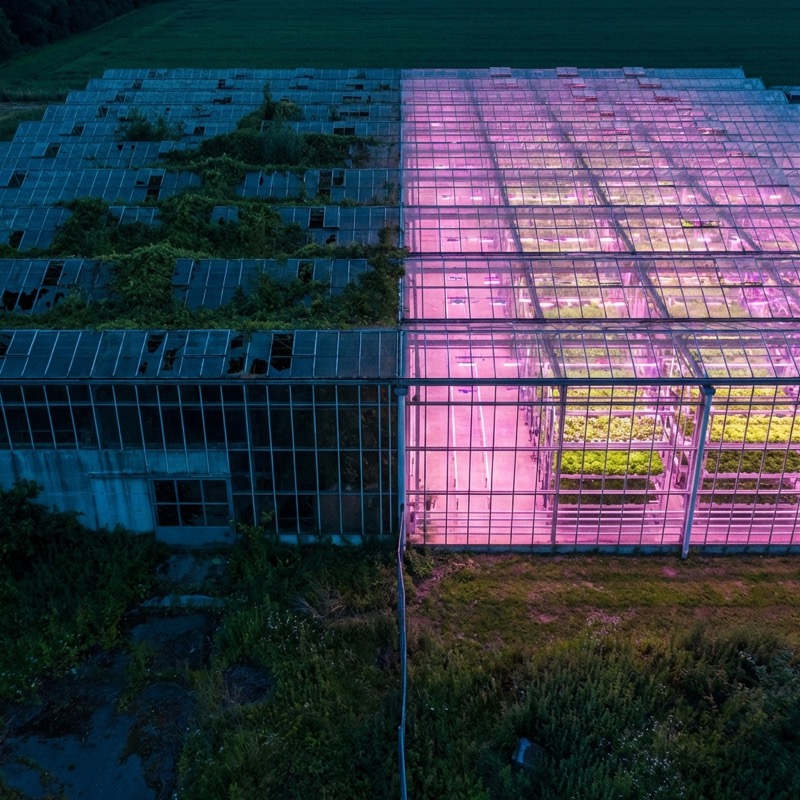 Why Vertical Farms Keep Failing — And What the Survivors Are Doing Differently
