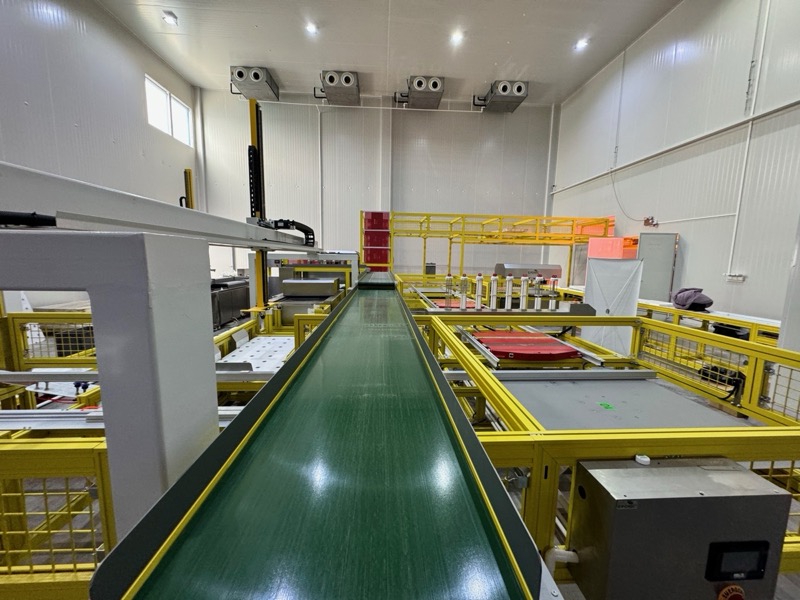 Conveyor belt system with yellow safety framework for automated processing