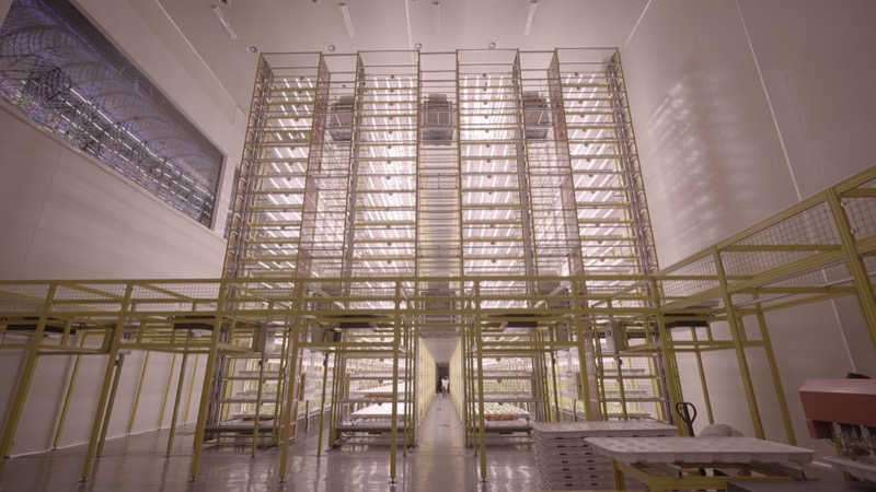 Full-height HYVE rack system showing commercial scale indoor farm facility