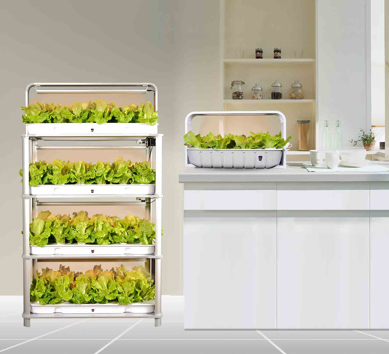 LF-One Little Farm micro hydroponic system with four tiers of growing lettuce