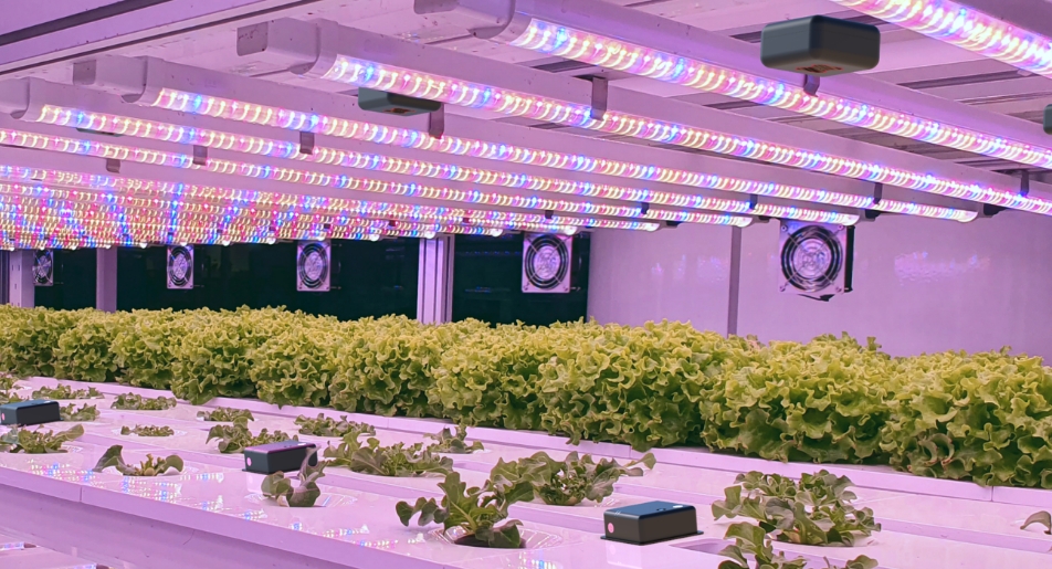 AgEye Platform